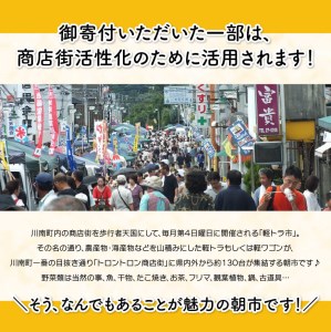 日本一の軽トラ市！オリジナル３点セット【 オリジナル 限定 トートバッグ 缶バッジ 手作り お守り 】