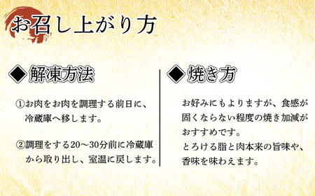 日本一美味しい黒毛和牛「宮崎牛」の網焼き用・焼肉用セット(2kg)  内閣総理大臣賞4回連続受賞のブランド牛 TF0285-P00020