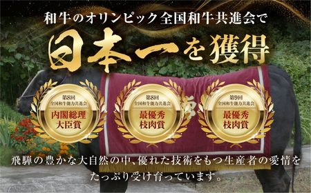 飛騨牛 カルビ焼肉 500g 冷凍 焼き肉 JAひだ 飛騨牛 [Q3002]