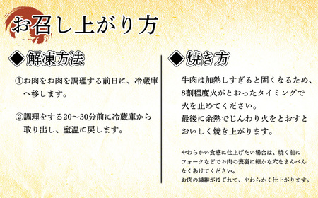 宮崎牛赤身ステーキ(400g) 内閣総理大臣賞4大会連続受賞の黒毛和牛 TF0558-P00020