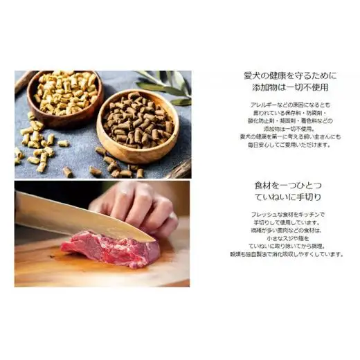 ひとつごはん 鶏肉オリジナルブレンド ペットフード 愛犬用 鶏肉 野菜 無添加 厳選素材 ドッグフード 