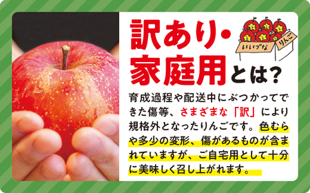りんご 3種のりんご＜定期便＞ 家庭用・訳あり3kg×3回 農家応援企画 【令和8年度収穫分】※沖縄県への配送不可 ※2026年8月下旬頃から順次発送 長野県飯綱町[0794]