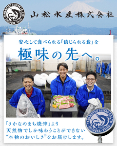 a30-232　海からの贈り物 焼津天然まぐろ三昧(3回お届け)定期便