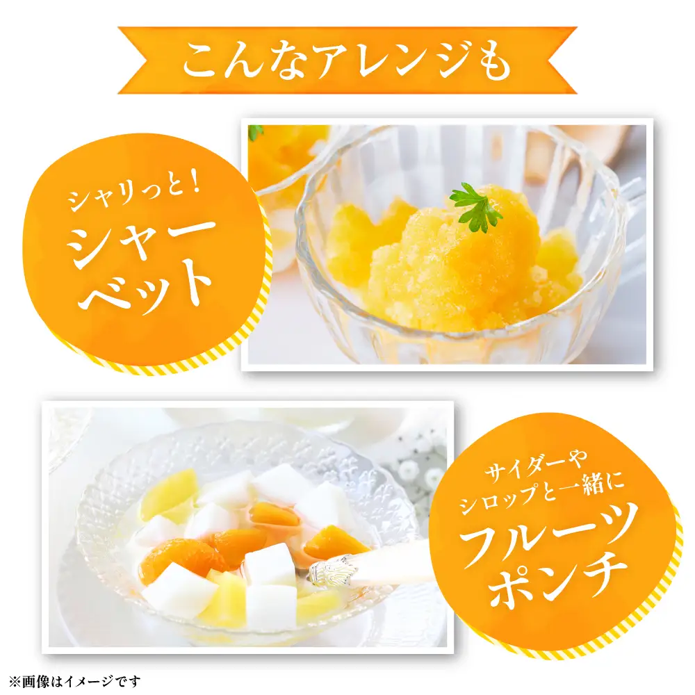 【先行予約】 みかん 八代市東陽産 山本さん家の「 みはや 」 5kg みかん【2026年12月上旬より順次発送】