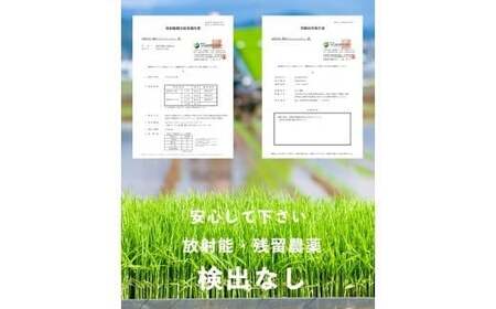 【令和7年産】熊本県産 ヒノヒカリ 13kg (6.5kg×2袋) 【2025年10月上旬より順次発送開始】 ブレンド米 お米 白米 米 おすすめ 人気 ランキング