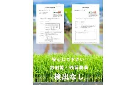 【令和7年産】森のくまさん 13kg (6.5kg×2袋) 【2025年10月上旬より順次発送開始】 ブレンド米 お米 白米 米 おすすめ 人気 ランキング