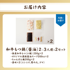 国産和牛もつ鍋（醤油味）2～3人前×2セット ちゃんぽん麺 もつ鍋【B068】