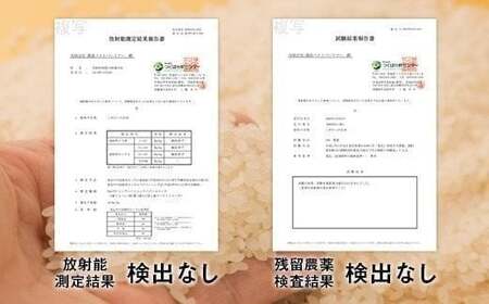 【令和7年産】ほたるの灯り 精米15kg（5kg×3袋）【2025年9月下旬より順次発送開始】 ブレンド米 お米 白米 米 おすすめ 人気 ランキング