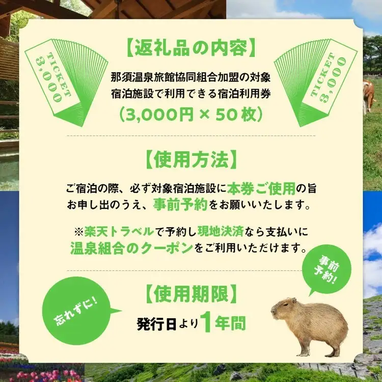 栃木県那須町で使える 共通宿泊利用券 150,000円分（3,000円×50枚）〔O-2〕｜宿泊 旅行 チケット 宿泊券 温泉 露天風呂 旅行券 ホテル 観光 国内旅行 那須 栃木県 那須町