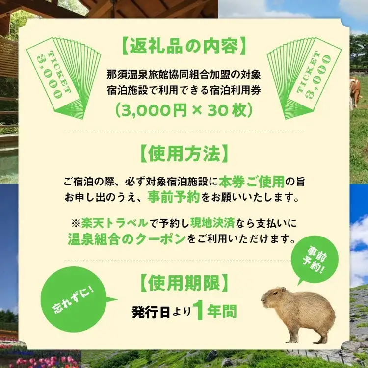 栃木県那須町で使える 共通宿泊利用券 90,000円分（3,000円×30枚）〔K-7〕｜宿泊 旅行 チケット 宿泊券 温泉 露天風呂 旅行券 ホテル 観光 国内旅行 那須 栃木県 那須町