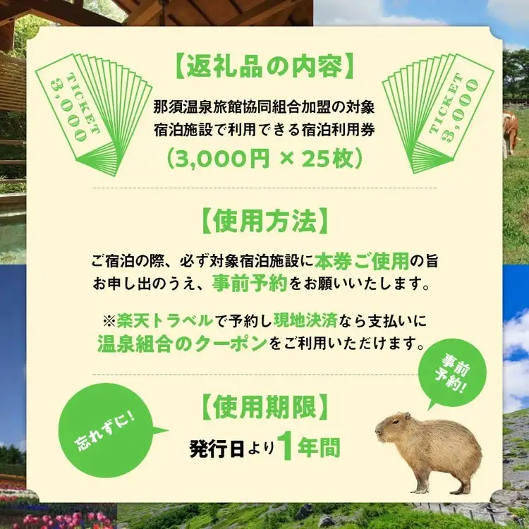 栃木県那須町で使える 共通宿泊利用券 75,000円分（3,000円×25枚）〔J-8〕｜宿泊 旅行 チケット 宿泊券 温泉 露天風呂 旅行券 ホテル 観光 国内旅行 那須 栃木県 那須町