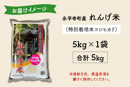 令和7年産 農薬不使用・化学肥料不使用 永平寺町産 れんげ米 5kg [B-002026]