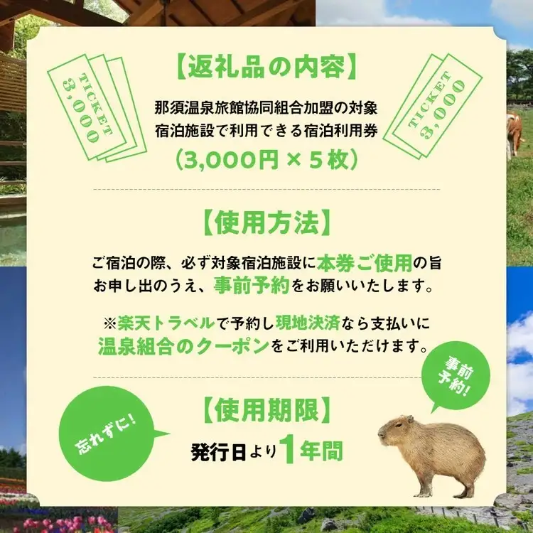 栃木県那須町で使える 共通宿泊利用券 15,000円分（3,000円×5枚）〔E-6〕｜宿泊 旅行 チケット 宿泊券 温泉 露天風呂 旅行券 ホテル 観光 国内旅行 那須 栃木県 那須町