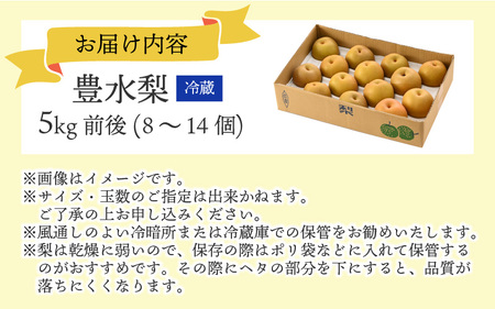 【先行予約】【豊水梨】5kg前後 (8～14個) もぎたて！たっぷり果汁の新鮮な梨をお届け！【2026年8月下旬以降順次発送予定】【梨 なし 和梨 フルーツ 甘い みずみずしい 果実 果物 新鮮 お土産 贈り物 旬の果物】 [A-15004]
