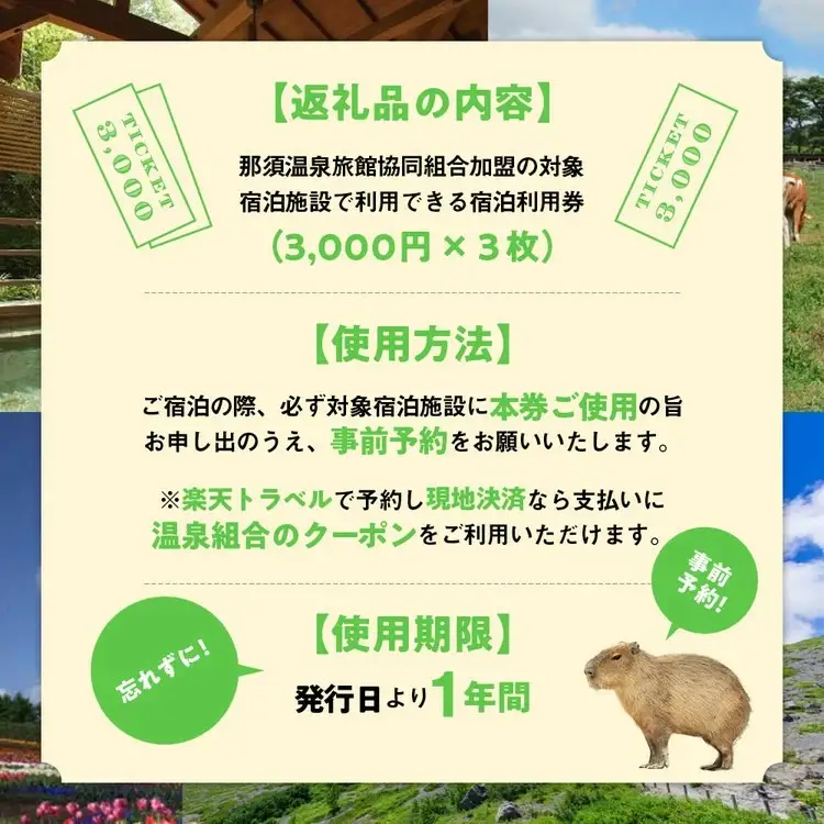 栃木県那須町で使える 共通宿泊利用券 9,000円分（3,000円×3枚）〔D-9〕｜旅行 チケット 宿泊券 
