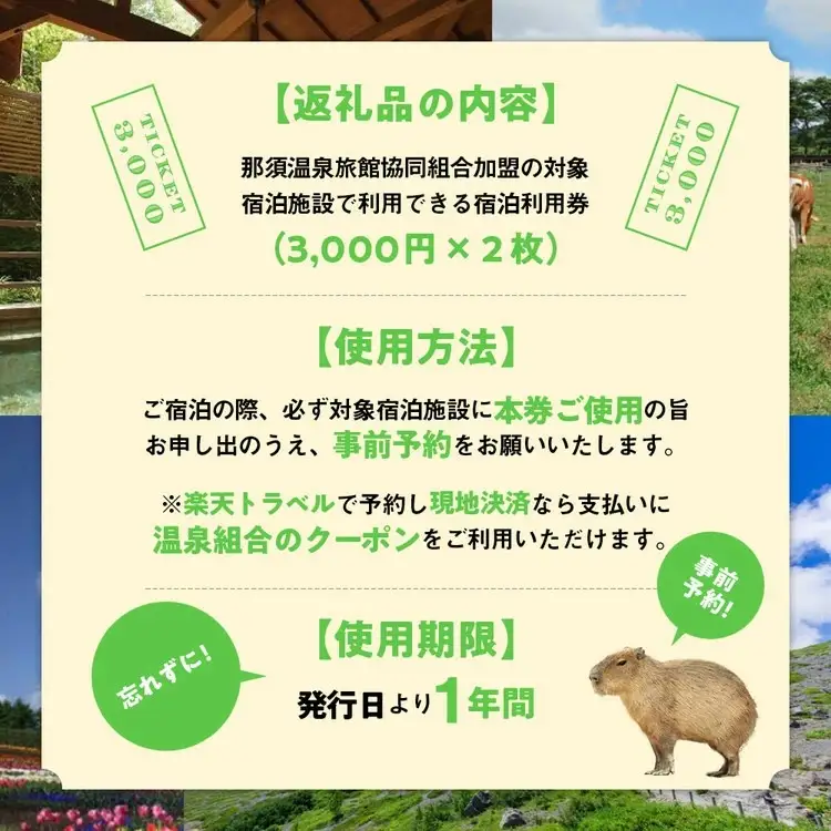 栃木県那須町で使える 共通宿泊利用券 6,000円分（3,000円×2枚）〔C-8〕｜宿泊 旅行 チケット 宿泊券 温泉 露天風呂 旅行券 ホテル 観光 国内旅行 那須 栃木県 那須町