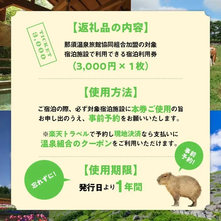 栃木県那須町で使える 共通宿泊利用券 3,000円分（3,000円×1枚）〔B-9〕｜宿泊 旅行 チケット 宿泊券 温泉 露天風呂 旅行券 ホテル 観光 国内旅行 那須 栃木県 那須町