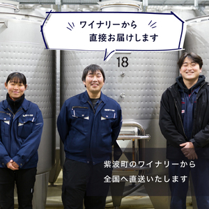 紫波町のぶどうジュース 2本セット 6か月熟成 濃厚100％ストレート 【 無添加 無加糖 】（AL062-1）