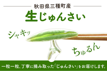 生じゅんさい無選別 1.5kg(500g×3袋)《冷蔵》（2026年5月中旬(収穫後)から7月末、順次発送予定）朝採りして当日発送！