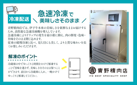 伊予牛絹の味_切り落とし250ｇ×４(冷凍)_1㎏｜黒毛和牛A4～A5 小分け 愛媛県産