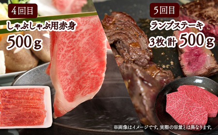 5回定期便【日時指定可・冷蔵】伊予牛絹の味_赤身堪能コース※関東以北・沖縄は冷凍｜黒毛和牛 肉 A4～A5