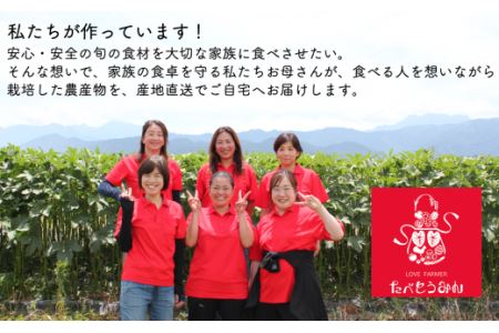 たべとうみんの旬菜ボックス（お米付）｜ 野菜詰め合わせ 美豊卵