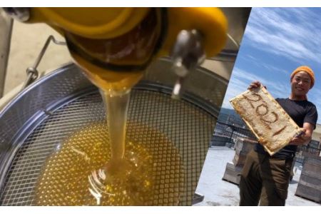 石鎚養蜂の百花はちみつ（2個）｜ 純粋蜂蜜