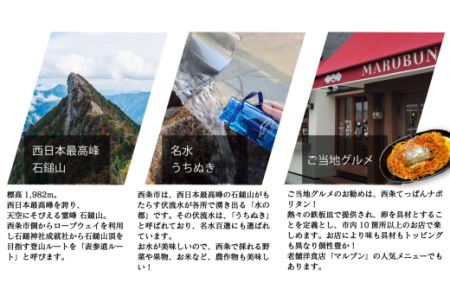 ～ISHIZUCHI JOURNEY～西条市内宿泊クーポン（15,000円分）｜ 宿泊券 選べるホテル
