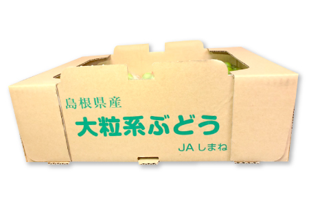D-524 甘くて美味しい シャインマスカット 5kg（6?12房）