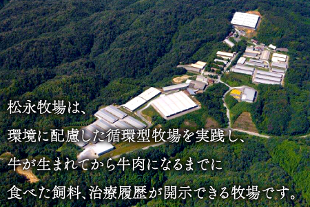 B-288 松永和牛A5ランク　焼肉用ロース　400g