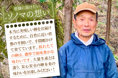 A-791 大久保さんちの元気たまご 平飼い 40個