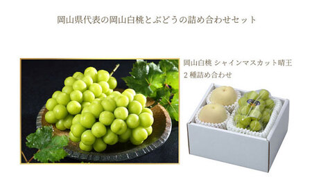 岡山白桃 エース 2玉×約250g（2Lサイズ、早生種・中生種）シャインマスカット 晴王 1房約500g 詰合せ