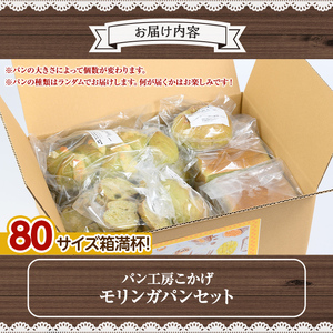 【A65001】大隅産 モリンガパン セット 80サイズ詰め合せ 14個前後 国産 パン スーパーフード ラスク 冷凍 手作り 【パン工房こかげ】