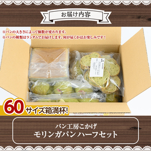 【P65001】大隅産 モリンガパン セット 60サイズ詰め合せ 7個前後 国産 パン スーパーフード ラスク 冷凍 手作り 【パン工房こかげ】