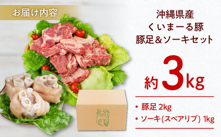 沖縄県産 豚肉 豚足・ソーキ (スペアリブ) 3kg  BCAJ014 