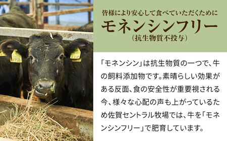 【3回定期便】 万能切落し 1000g / 牛肉切り落とし [IAH133]
