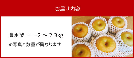 完熟採り　もりやま梨（豊水）2キロ～2.3キロ【先行予約】 CW-0001