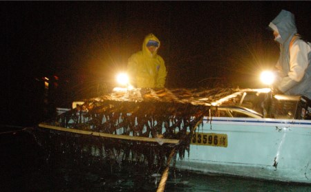 【全12回定期便】上質 高級焼きのり 全型金5帖（全型10枚分×5） 海苔 焼き海苔 やきのり[FCO009]