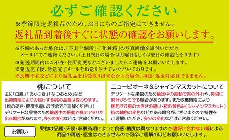 【定期便全3回】夏のフルーツ定期便 (桃 ニューピオーネ シャインマスカット)【もも ぶどう 葡萄 フルーツ 旬 人気 果物 くだもの 香川県】