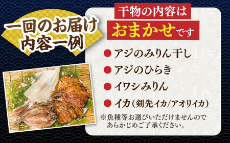 【全3回定期便】 旬の干物 おまかせ詰め合わせ《梅》（アジ・イワシ・イカなど）[JDR009]