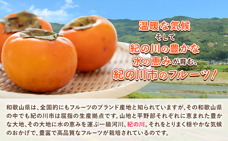 和歌山県産 あんぽ柿 70g×8個セット 紀の川市厳選館 《90日以内に出荷予定(土日祝除く)》 和歌山県 紀の川市 種なし柿 干し柿 ドライフルーツ カキ かき ジューシー フルーツ 和菓子