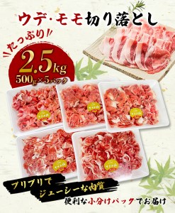 【希少すさみブランド豚】すさみ豚 切り落とし 2.5㎏ (ウデ・モモ切り落とし500g×5パック)/貴重 ブランド豚 小分け スライス お得 大容量 万能 炒め物 焼肉 しゃぶしゃぶ 生姜焼き 冷しゃぶ 冷凍 すさみ町 【ibu116】