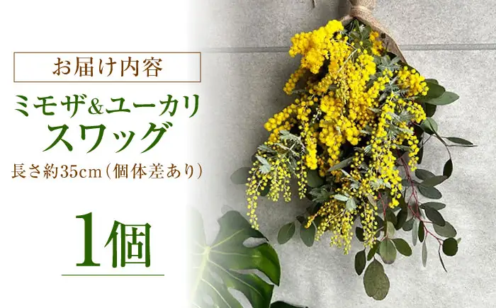雑貨 ユーカリとミモザのスワッグ BLAW001