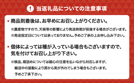 【先行予約】 巨峰 7月のぶどう屋さん 種なし巨峰 2kg 5～6房入 松川果樹園 【2026年7月上旬～8月上旬頃順次発送予定】