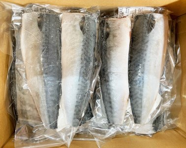 塩さばフィレ 14枚入（真空パック入）/さば サバ 鯖 フィレ 切り身 切身 魚 海鮮 焼き魚 おかず【uot403B-1】