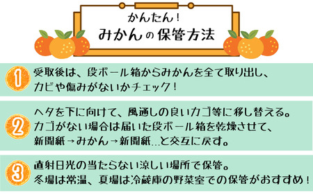 みかん 赤秀品ハウスみかん 2.5kg※2026年6月下旬頃〜7月下旬頃に順次発送予定【uot735A】