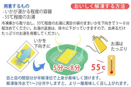 『先行予約』呼子のいか活造り1杯(360g前後) 特大サイズ コリコリ甘い鮮度抜群の透明感! 刺身 ギフト 冷凍※水揚げあり次第5月以降順次発送させていただきます。