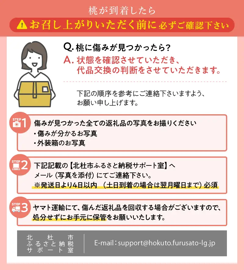 【2026年度先行予約】朝採り桃 3kg（夢みづき・あかつき・なつっこ）７～9個 [h187]