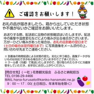イーハトーヴ野菜C もりもりセット 11品～ 詰め合わせ【1207】