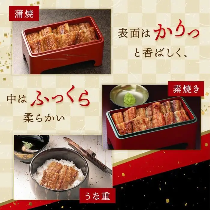 お食事券 博多名代 吉塚うなぎ屋 9,000円分 食事券 チケット うなぎ 国産 鰻 ウナギ 蒲焼き ランチ ディナー 店内飲食 テイクアウト グルメ券 グルメチケット クーポン 九州 旅行 観光 博多 福岡 福岡市